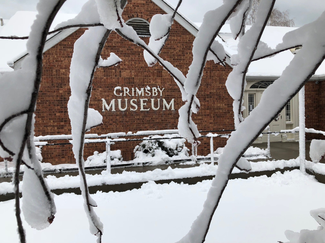 Grimsby Museum景点图片