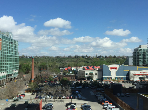 威斯丁卡尔加里酒店主图