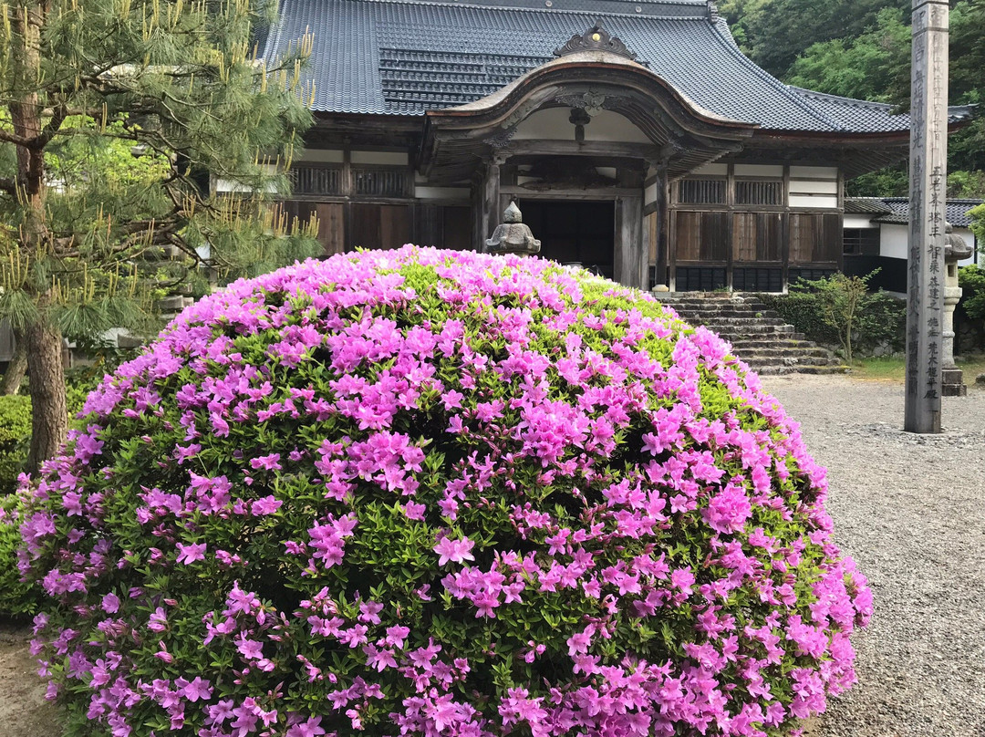 Yokoji Temple景点图片