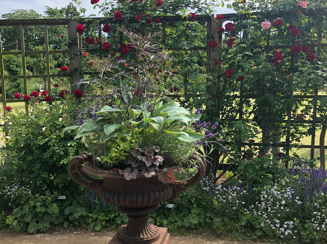 Sakura Kusabue no Oka-佐仓市必去景点