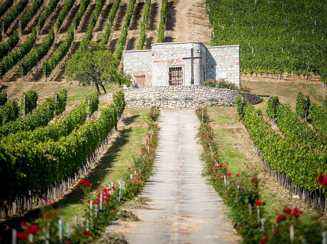 Béres Vineyard and Winery景点图片