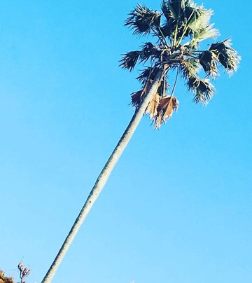 Birdwatching in The Gambia-Marakissa必去景点