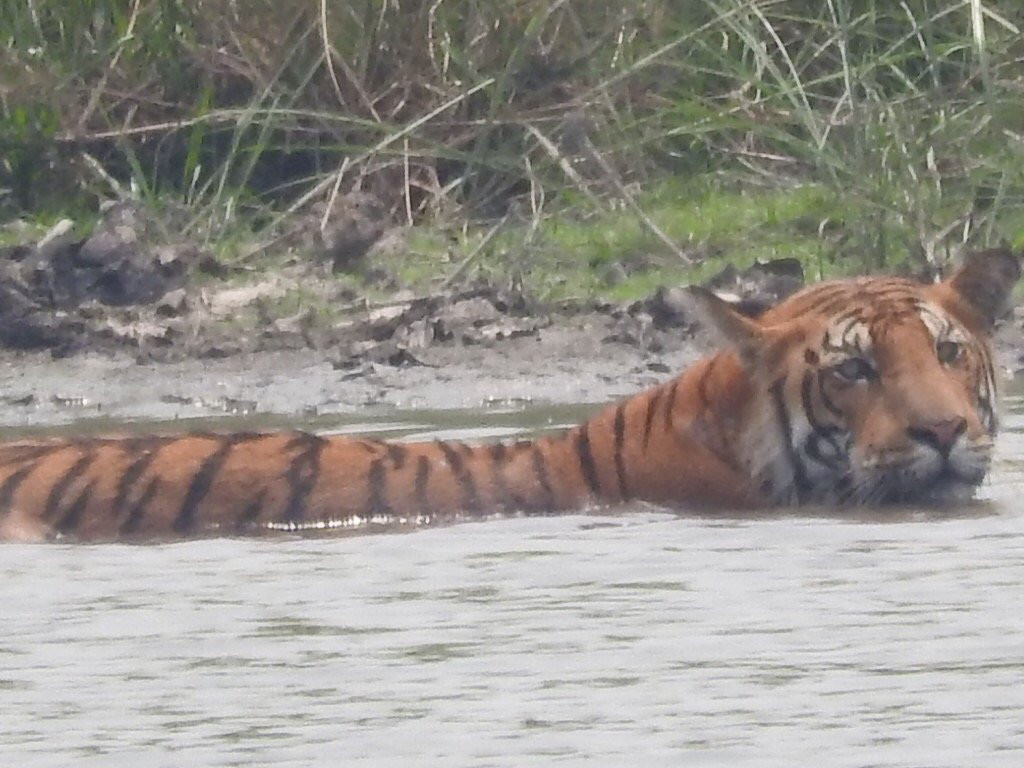 Ever Wild Trek & Tours-奇旺国家公国必去景点