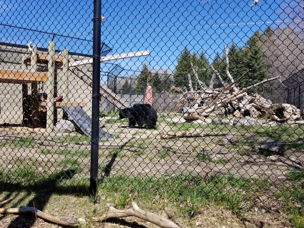 Idaho Falls Zoo景点图片