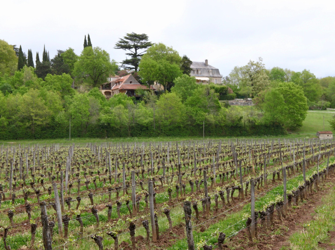 Domaine 'Le Peyrou'主图