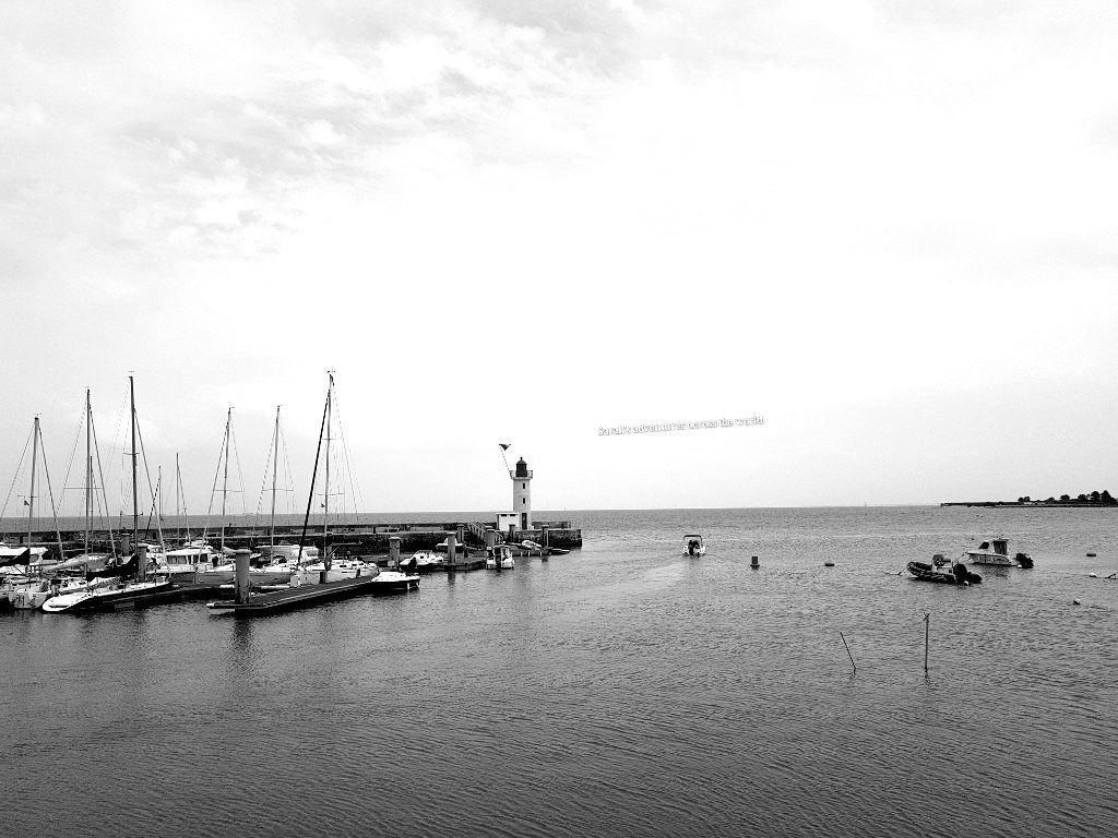 Port de La Flotte景点图片