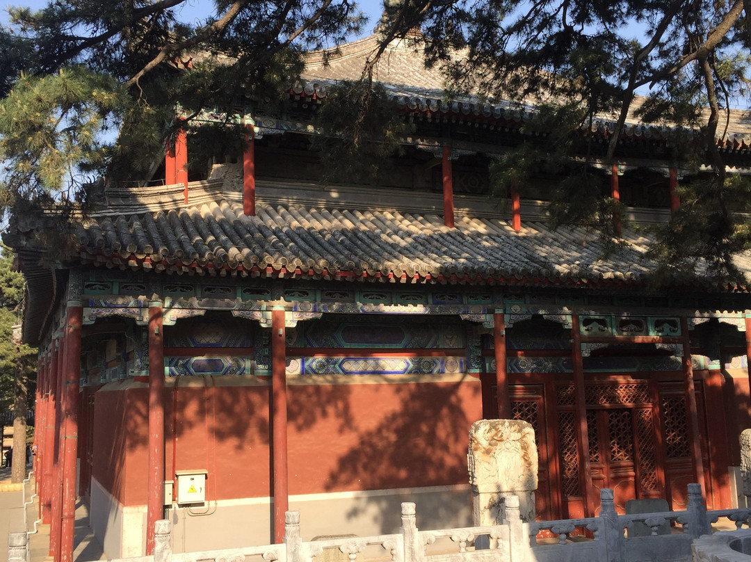 戒台寺古松-北京市必去景点