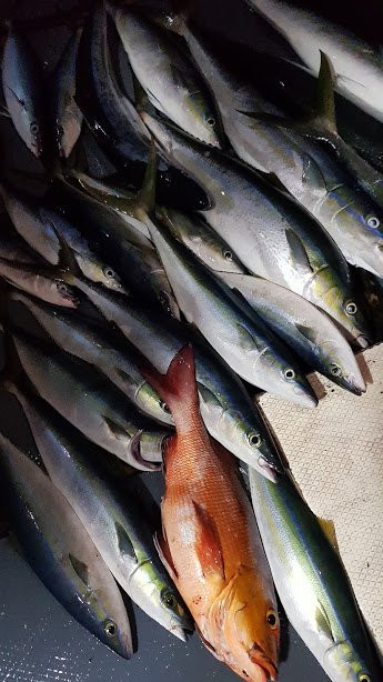 Biosphere by Hawks hotels Kamadhoo Baa Atoll主图