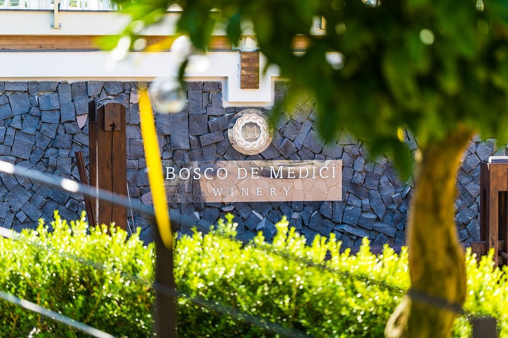 Bosco de Medici Winery景点图片