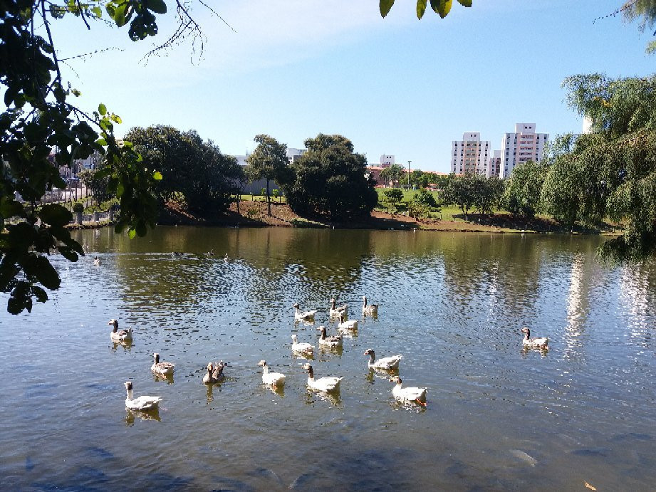 Parque Botanico Eloy Chaves-容迪亚伊必去景点