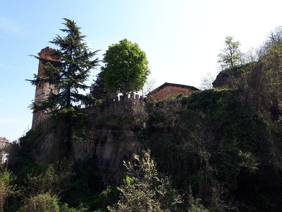 Castello di Barge景点图片