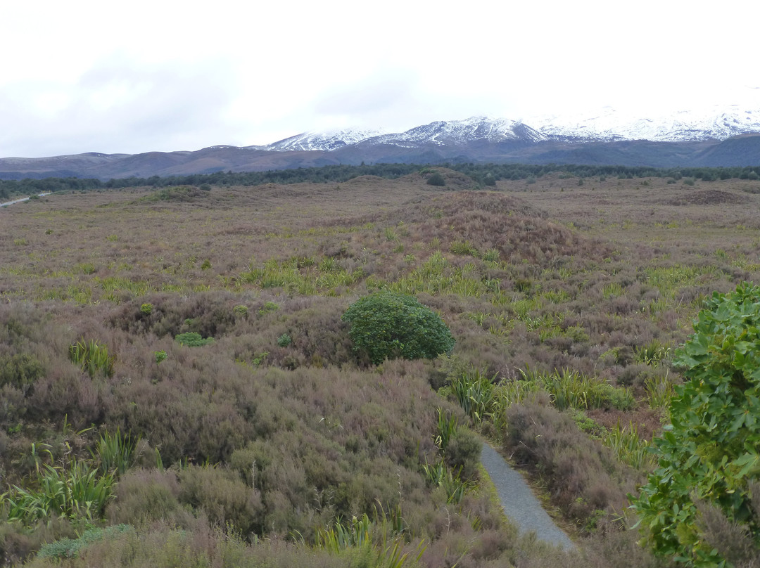 Mounds Walk景点图片