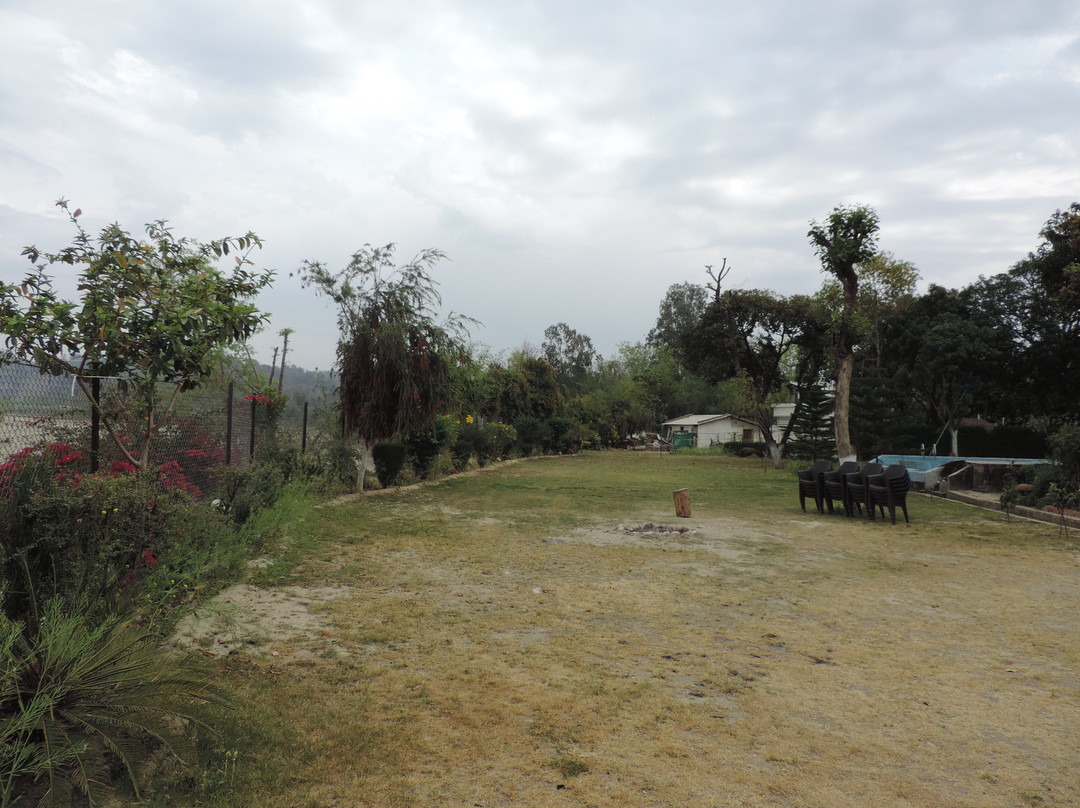 Signature Corbett主图