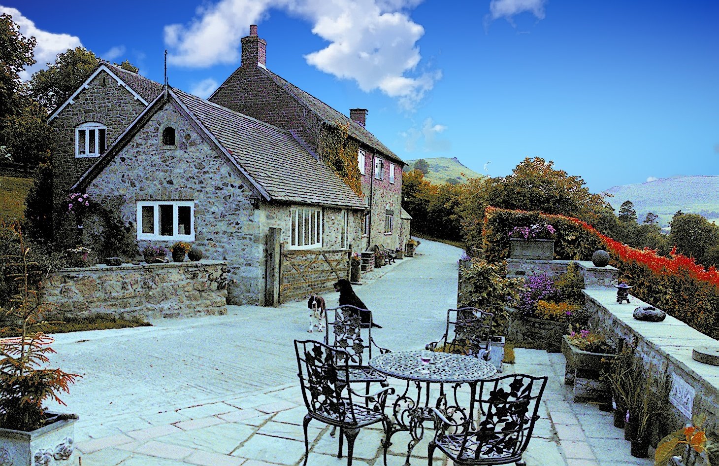 North Hill Farm B&B-官方