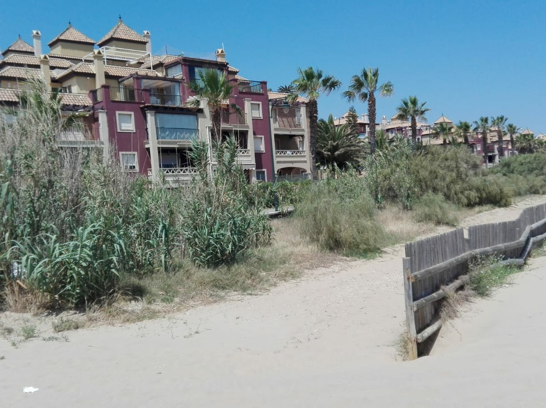Apartamentos Alcaudon