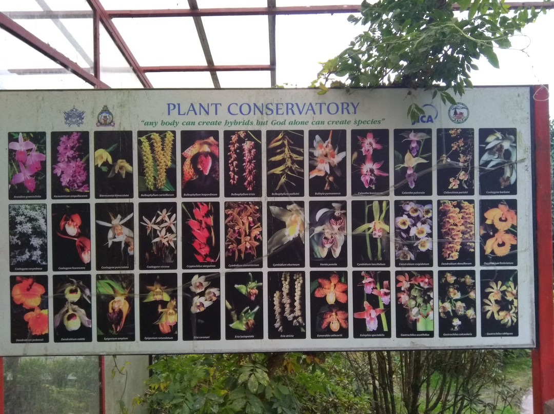 Plant Conservatory景点图片