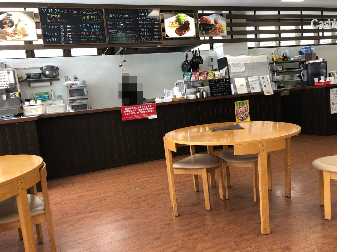 知床自然センターレストラン