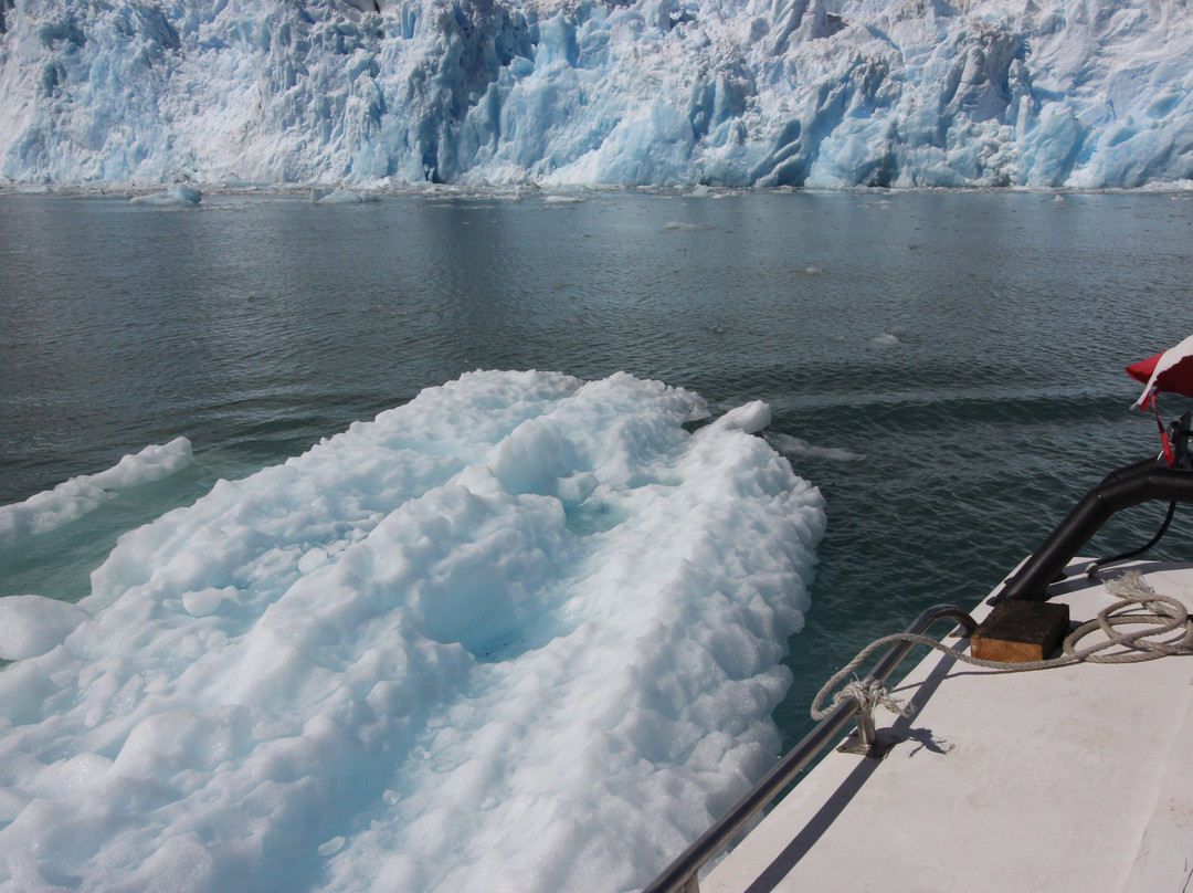 Glacier Jorge Montt景点图片