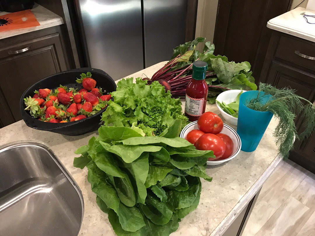 Hydro Harvest Farms-Ruskin必去景点