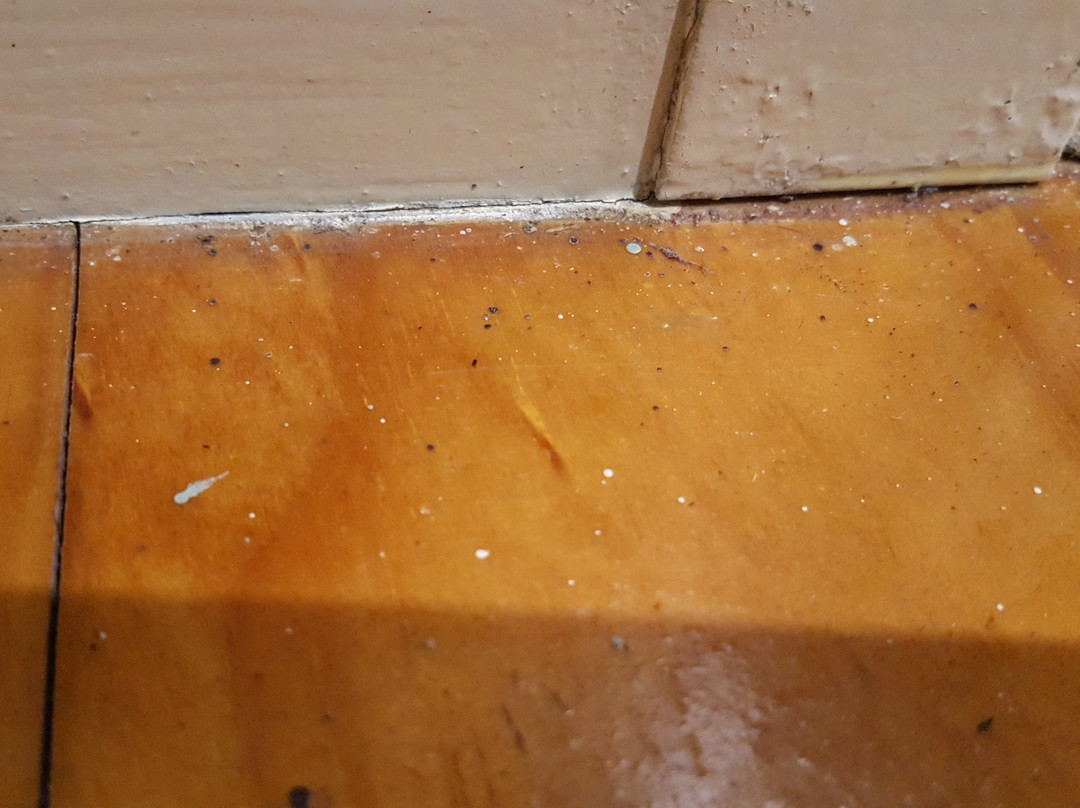 Belgrave Bed & Breakfast主图