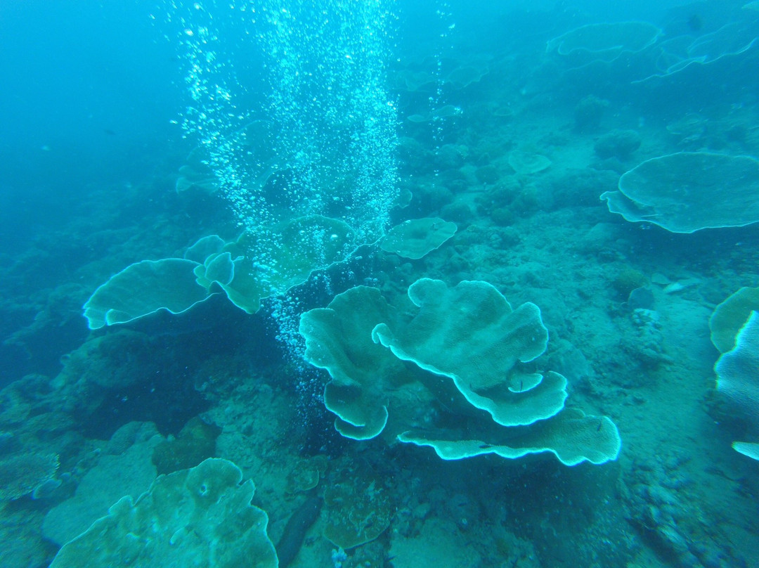 Cheron Island-科隆必去景点