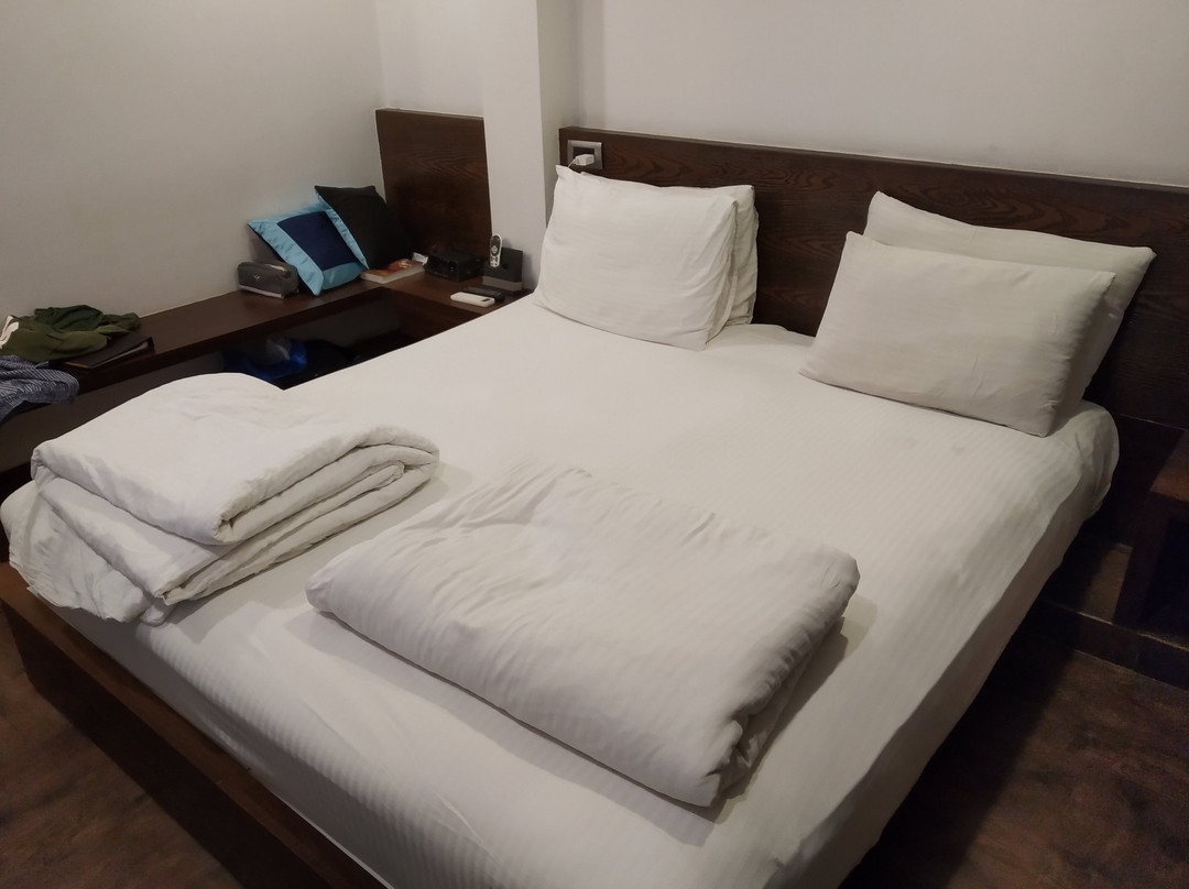 Palette - Silver Leaf主图