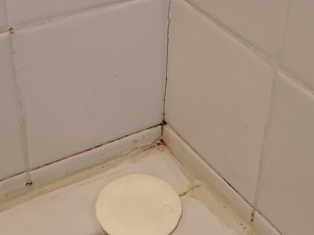 Comfort Suites Johnson City主图