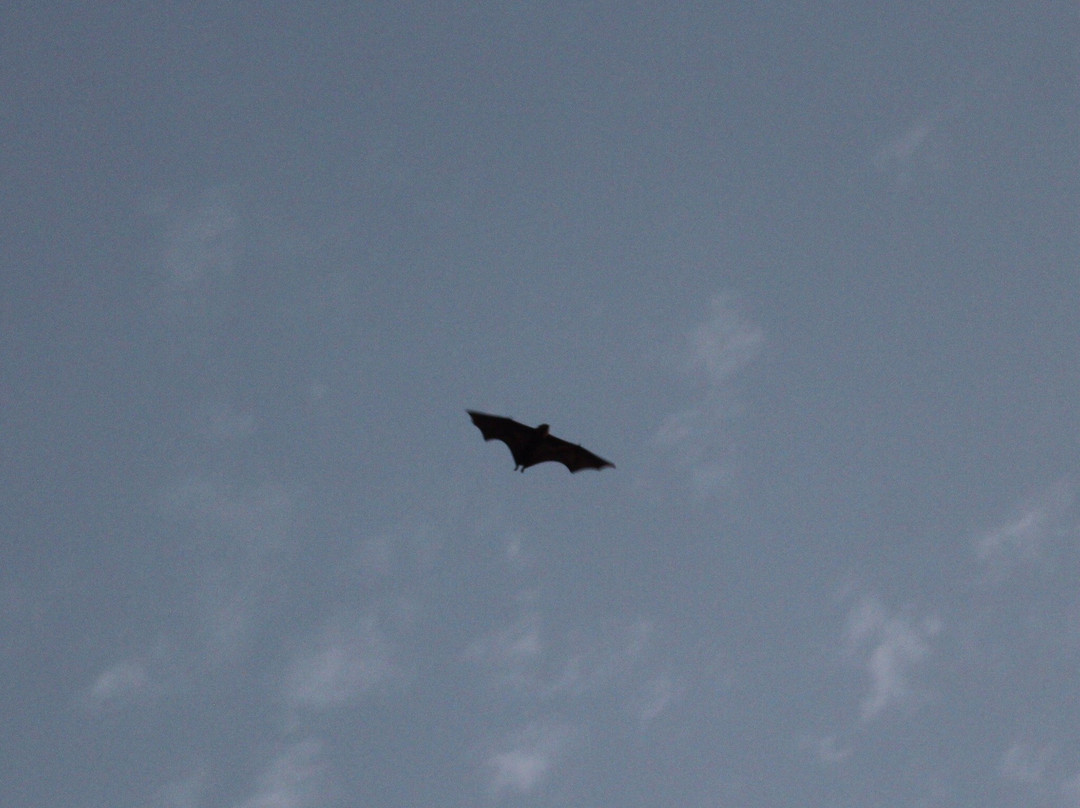 阿斯顿山汽车旅馆主图