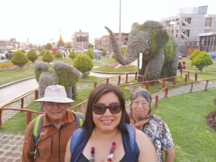 Bosque Municipal De Tacna-塔克纳必去景点