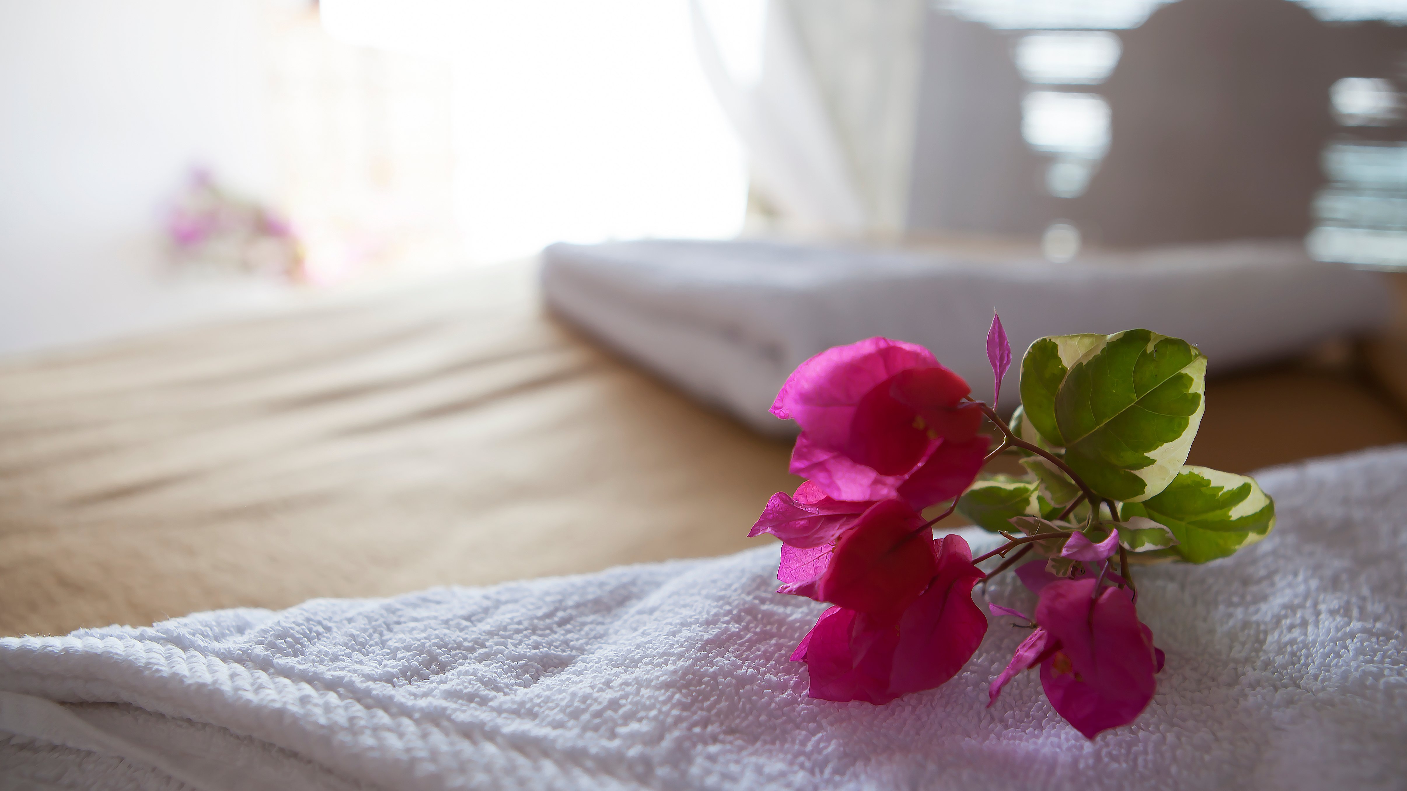 Bougainvillea Patnem-官方