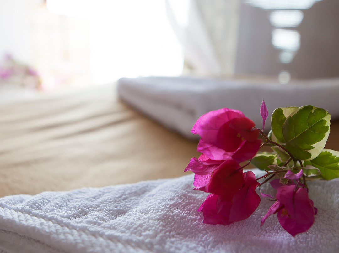 帕特内姆酒店住宿-Bougainvillea Patnem