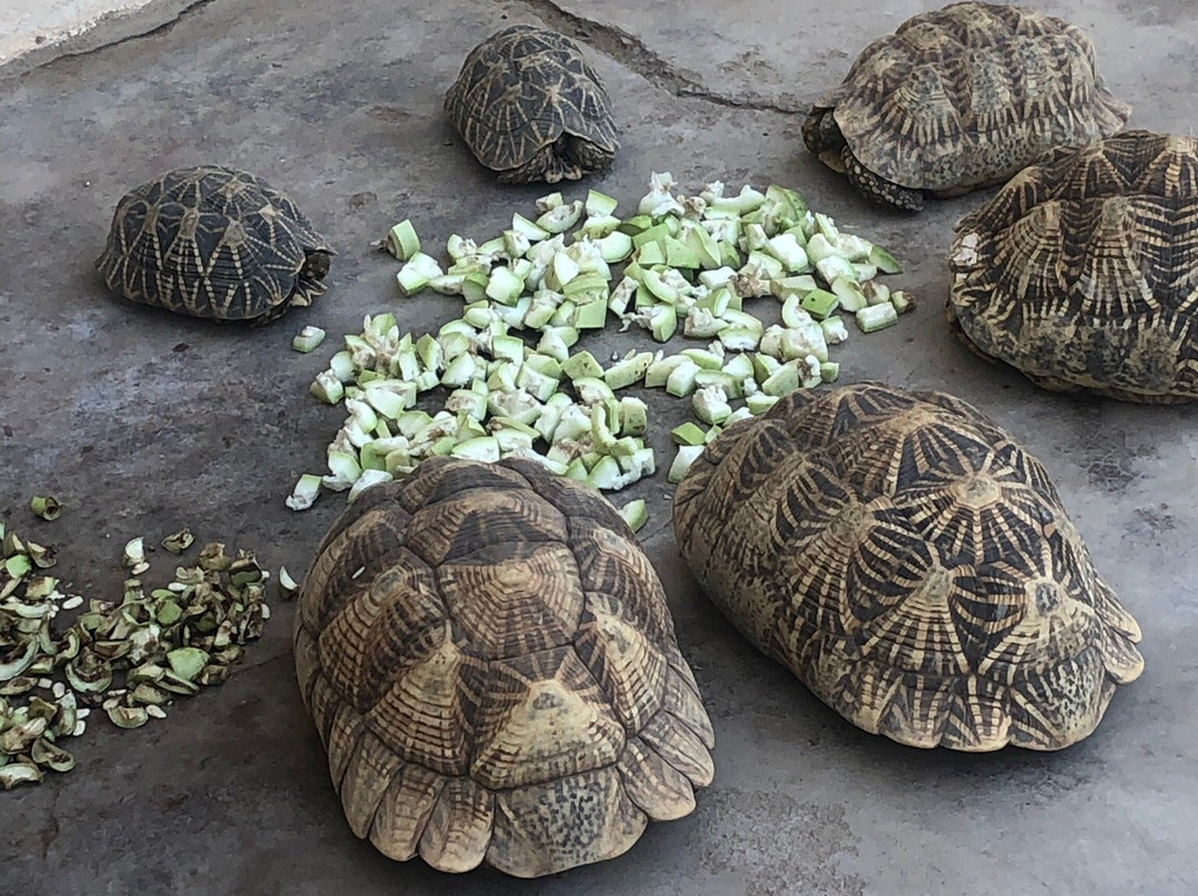 Devpur Homestay Kutch主图