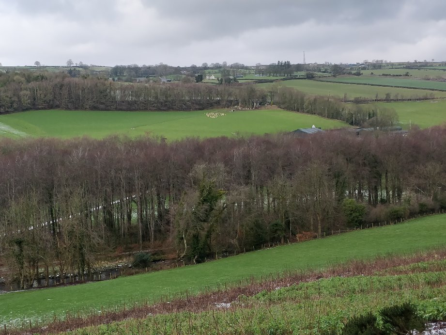 Glenarm forest景点图片