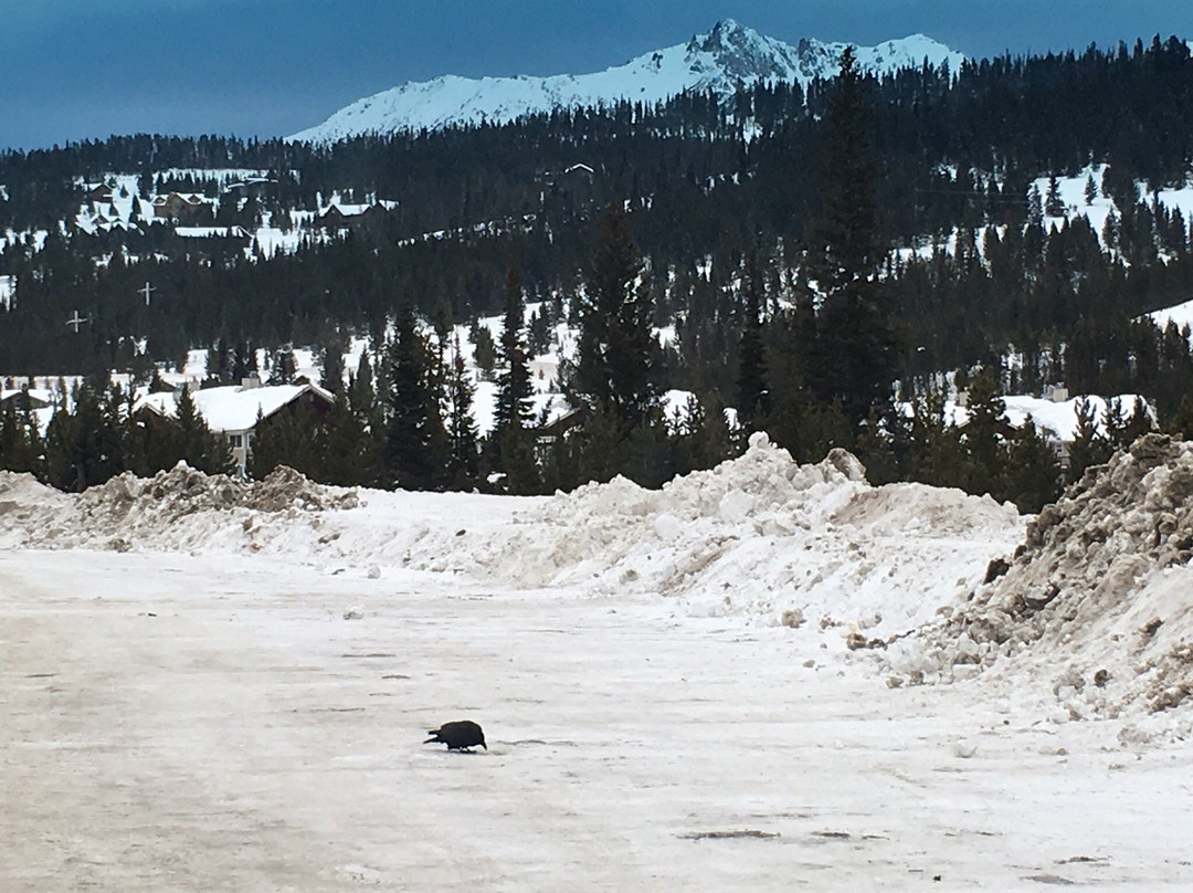 Moonlight Basin-大斯凯必去景点