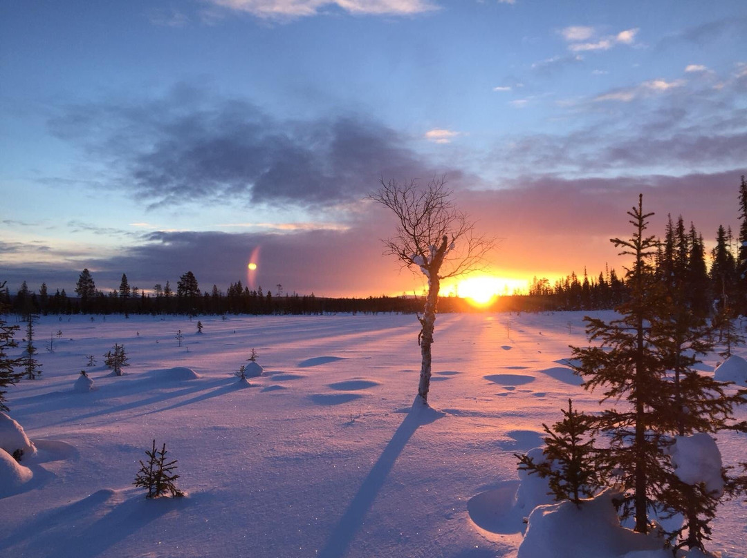 Hidden Trails Lapland景点图片