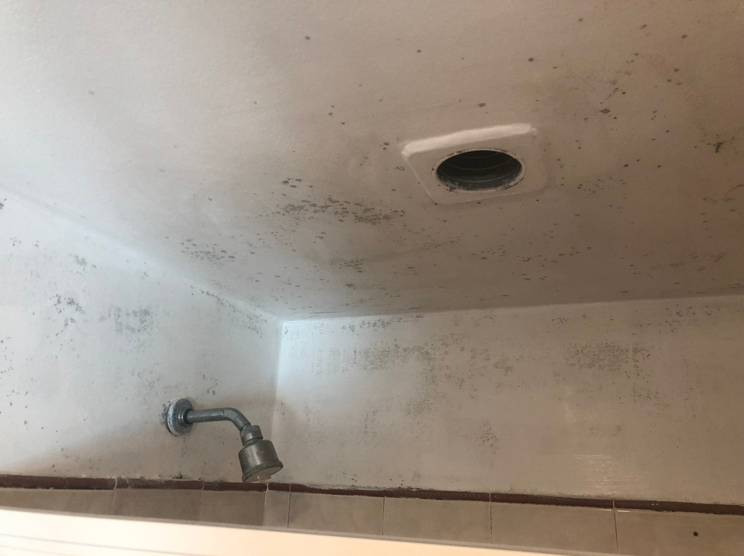 Bernie's Bed & Breakfast主图