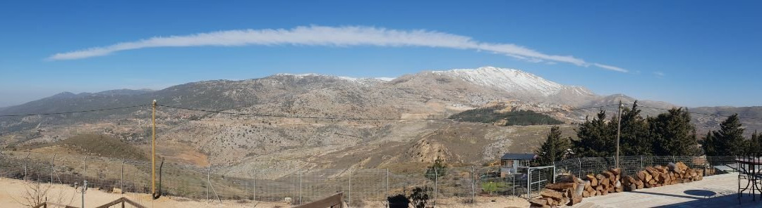 The Moving Castles主图