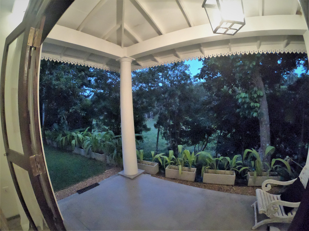 The Jungle Loft主图