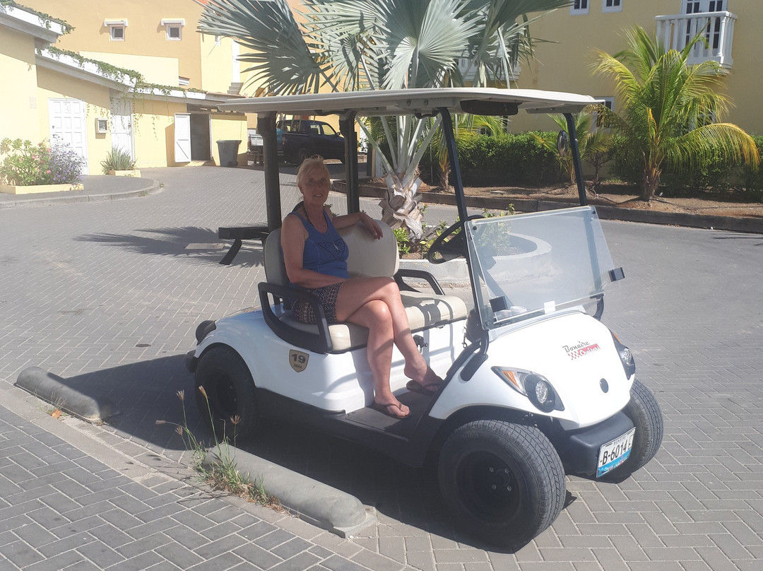 Wannadive Bonaire-Kralendijk必去景点