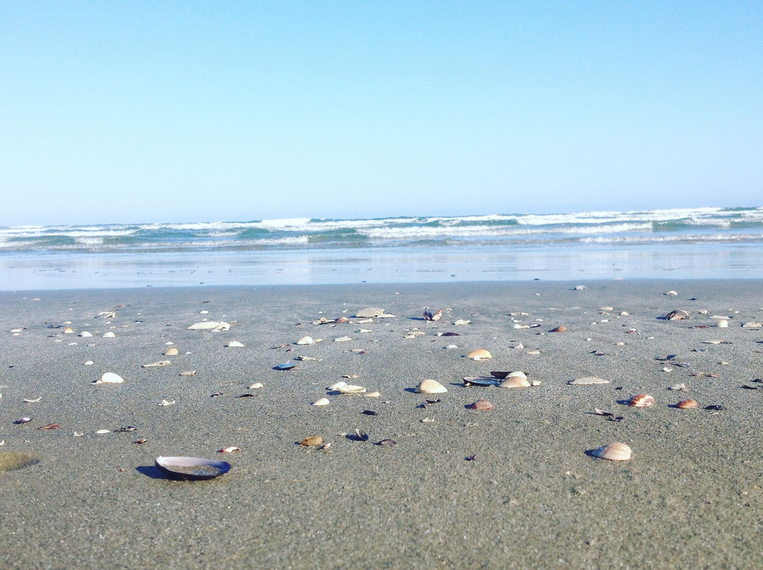 Roteiros Eco Trilhas-Peruibe必去景点