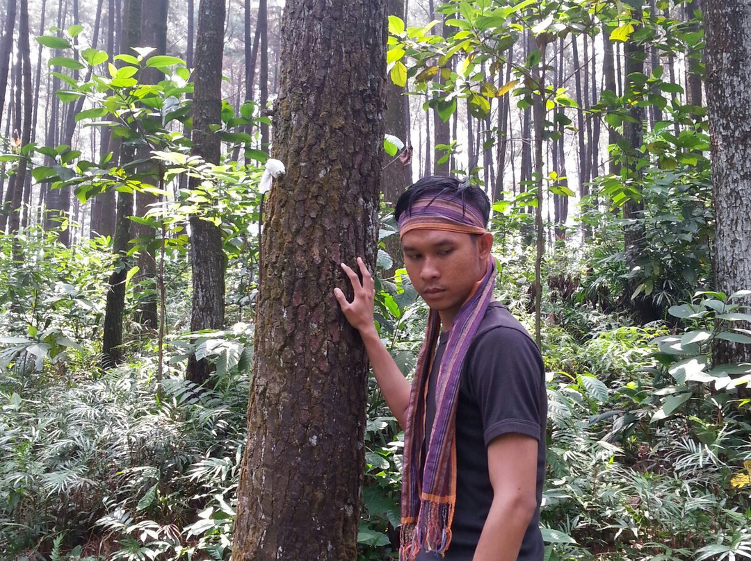 Mount Pancar Park-茂物必去景点