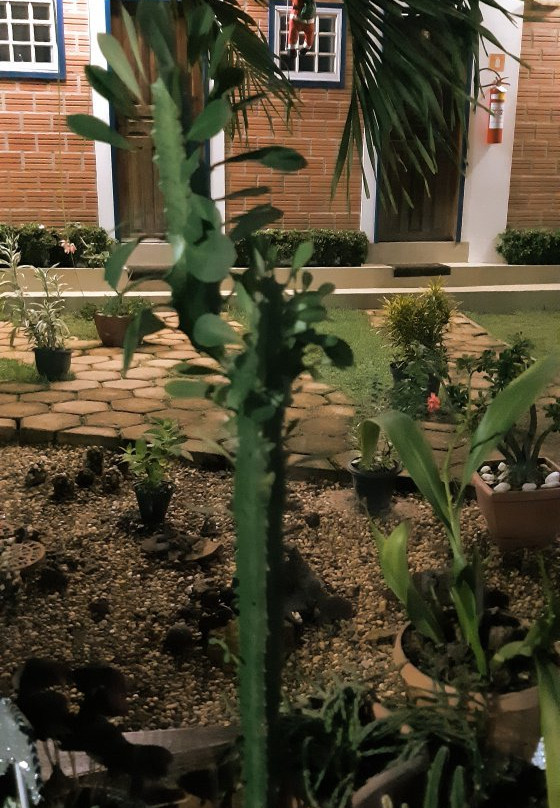 Pousada Alterosa主图