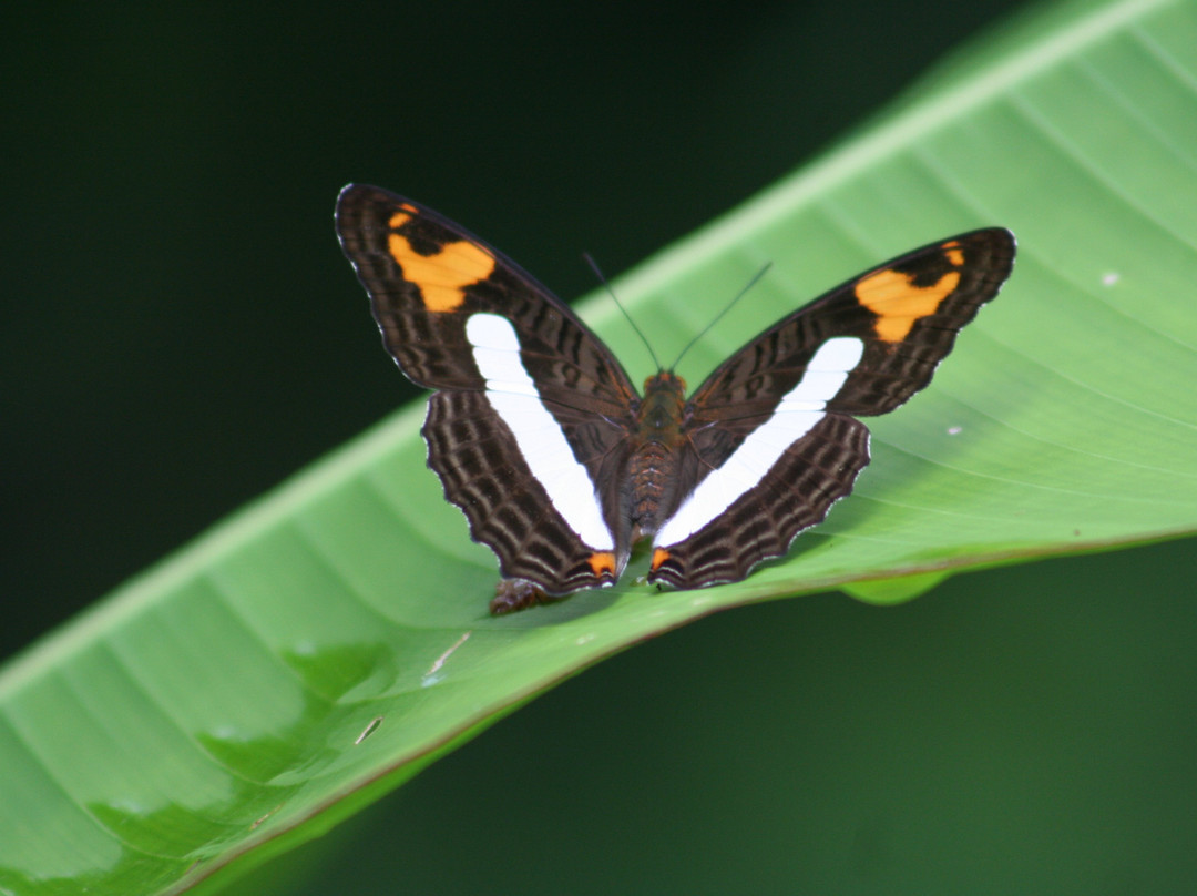 Hagia Sofia Sabiduría Sagrada-Santa Cruz Huatulco必去景点