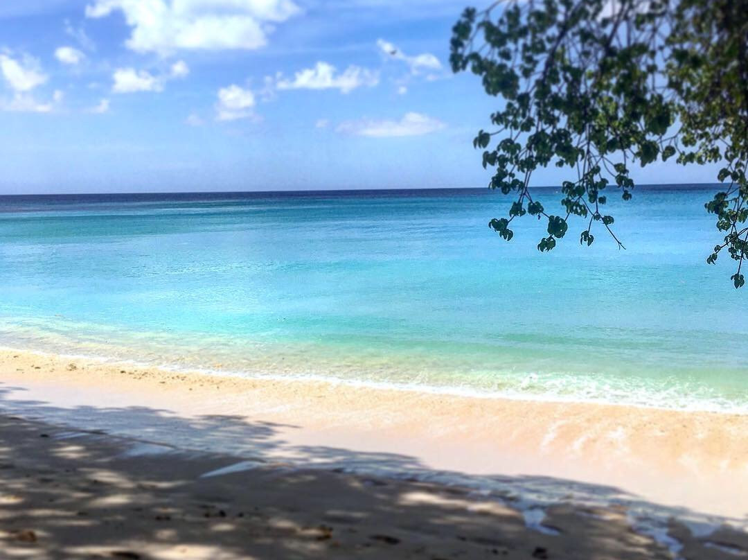 Gibbs Beach-Saint Peter Parish必去景点