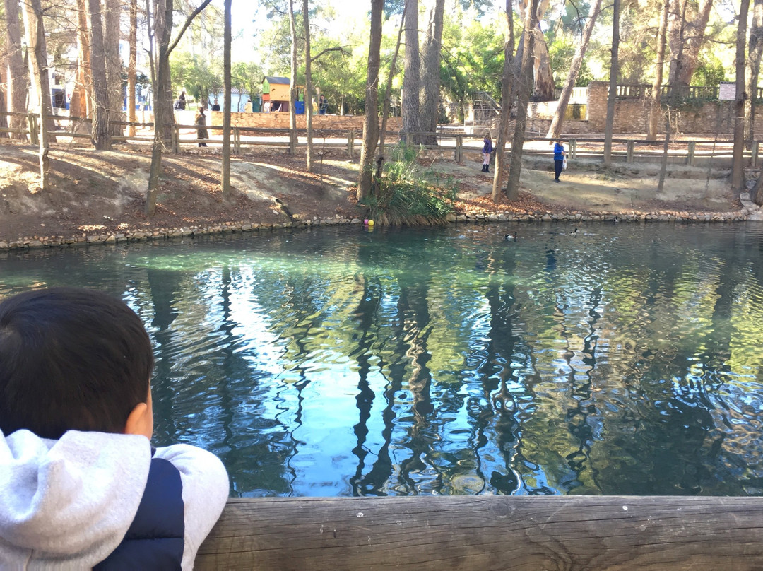 Parque Municipal de San Vicente-Lliria必去景点