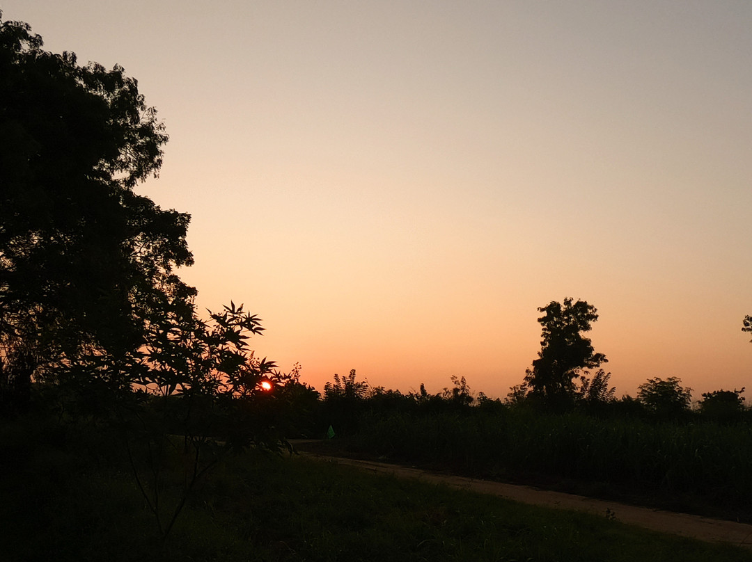 Royal Tusker Udawalawa主图