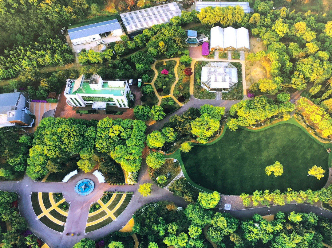 Daegu Arboretum景点图片