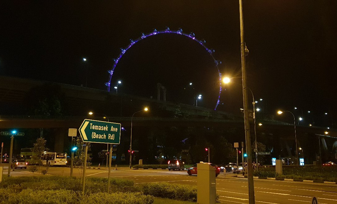 新加坡摩天观景轮景点图片