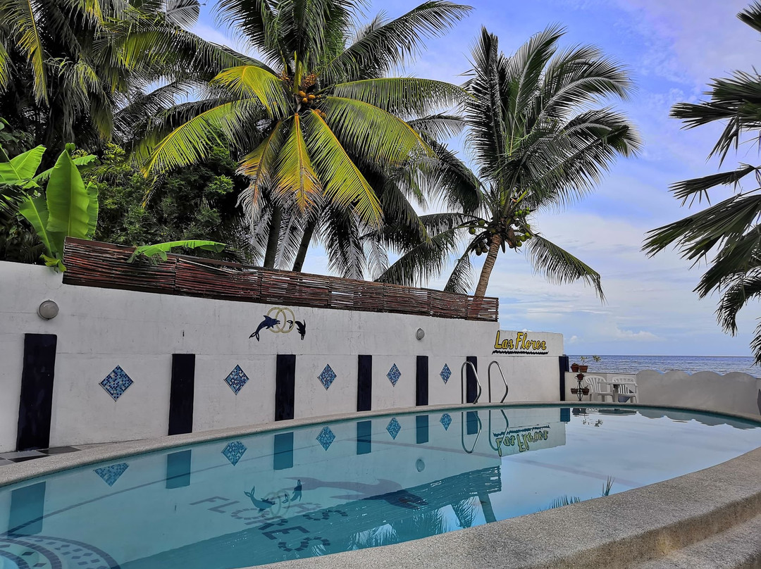 拉斯弗洛雷斯酒店主图