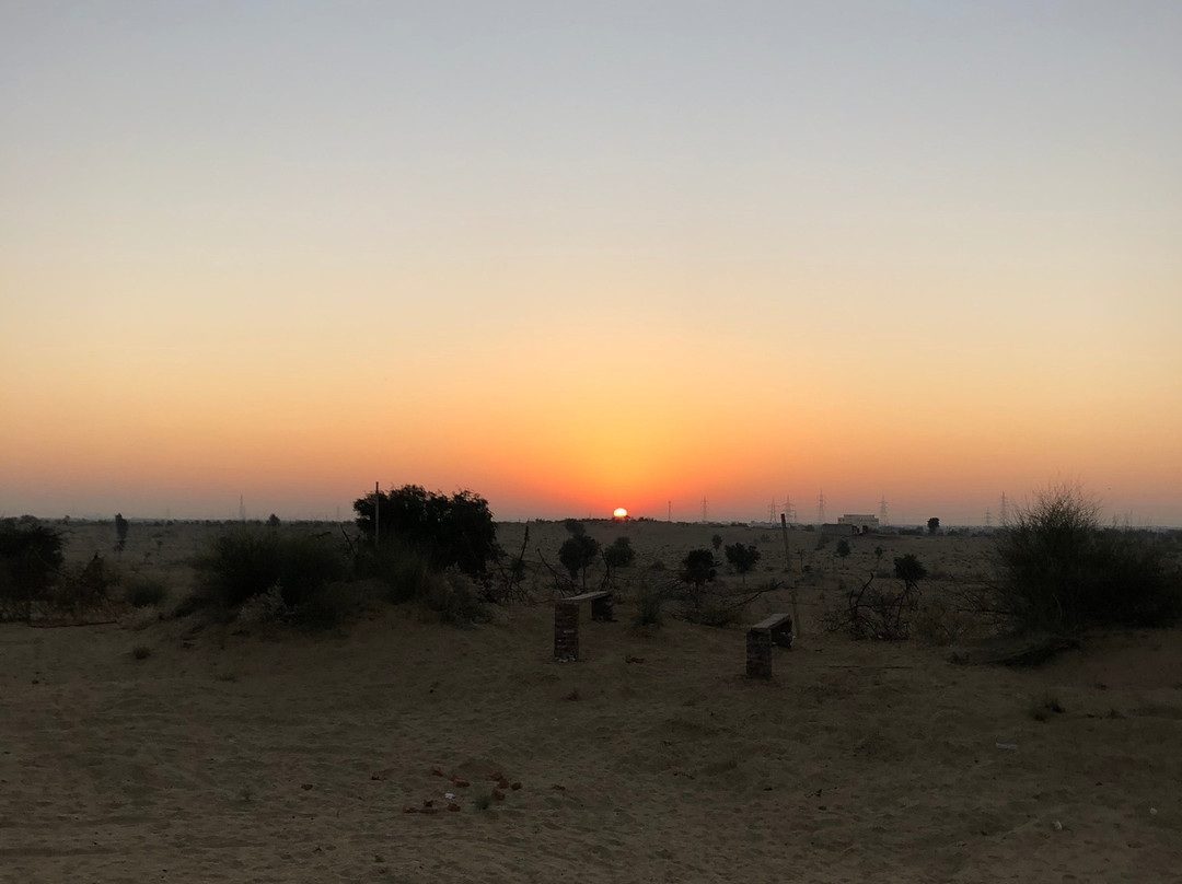 Wild Desert Resort主图